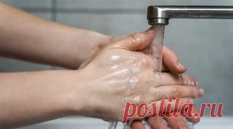 Аллерголог Рафаелян предупредила о вреде слишком частого мытья рук. Аллерголог-иммунолог Алла Рафаелян заявила, что слишком частое мытьё рук может быть вредно для кожи, поскольку естественный защитный барьер кожи от этого ослабевает. Читать далее