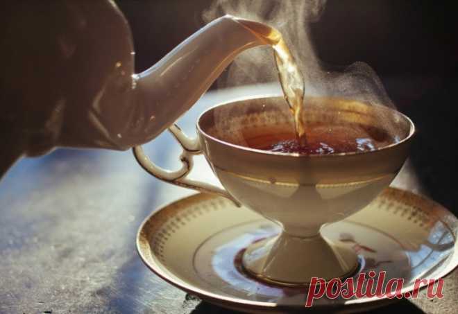 Медики призывают: не пейте чай после обеда и называют лучшее время для чаепития.