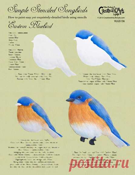 Eastern Bluebird Worksheet