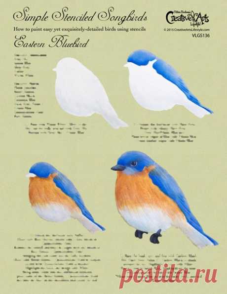 Eastern Bluebird Worksheet