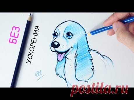 Как нарисовать собаку ЛЕГКО