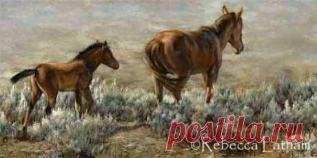 Painting New Paintings – Horses & Coyote | Paintings of Wildlife & Nature by Rebecca Latham