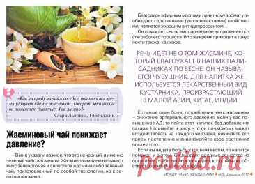 Жасминовый чай понижает давление?