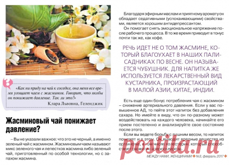 Жасминовый чай понижает давление?