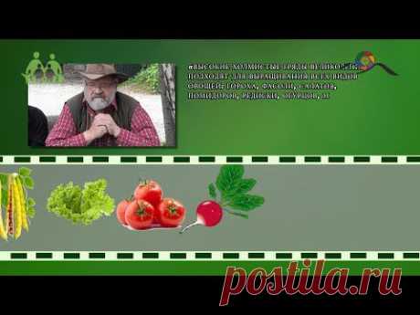 Холмистая грядка Хольцера (Видео) / Органическое земледелие, пермакультура / Зеленые решения для всей семьи. Green Life
