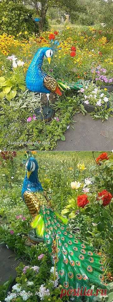 Райская птичка для вашего сада.. 
Тут же,серия сообщений "ландшафтный дизайн".Очень интересно для  украшения сада