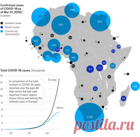 Африка почти не пострадала от COVID. Ученые не могут понять, почему / Хабр