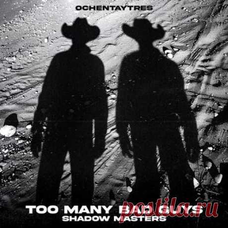 Too Many Bad Guys – Shadow Masters