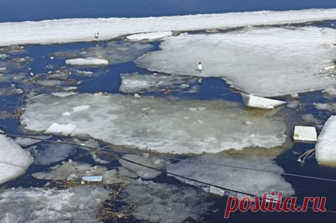 Новосибирские спасатели вытащили женщину из провалившейся под лед машины. Автомобиль скатился в замерзший водоем и оказался в ледяной ловушке.