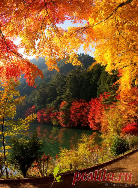 Я обожаю осень | Удивительные картинки - Удивительные картинки, изображения, фотографии из путешествий Все Aronud Всемирный