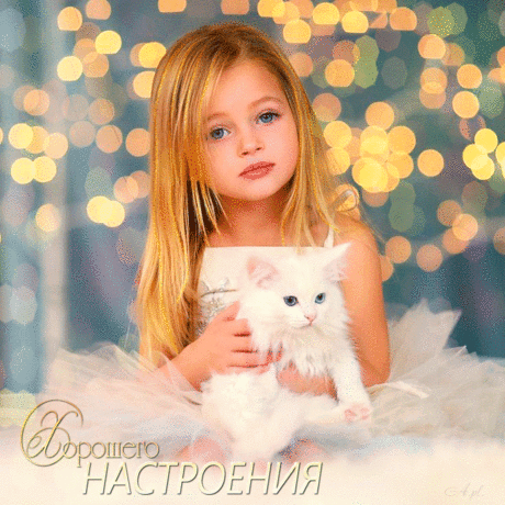 Гиф анимация Девочка сидит в белом платье с белой кошкой на руках на размытом фоне огней, Хорошего настроения, A. pl
