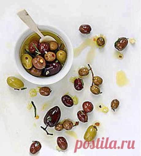 Оливковое масло: полезные свойства продукта, пропитанного солнцем