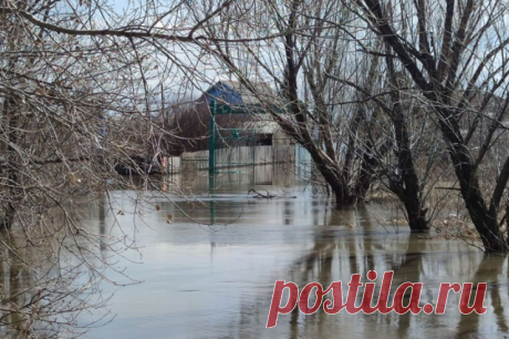 Уровень воды в Тоболе в трех селах около Кургана достиг 10 метров. Региональные власти призвали жителей немедленно эвакуироваться.