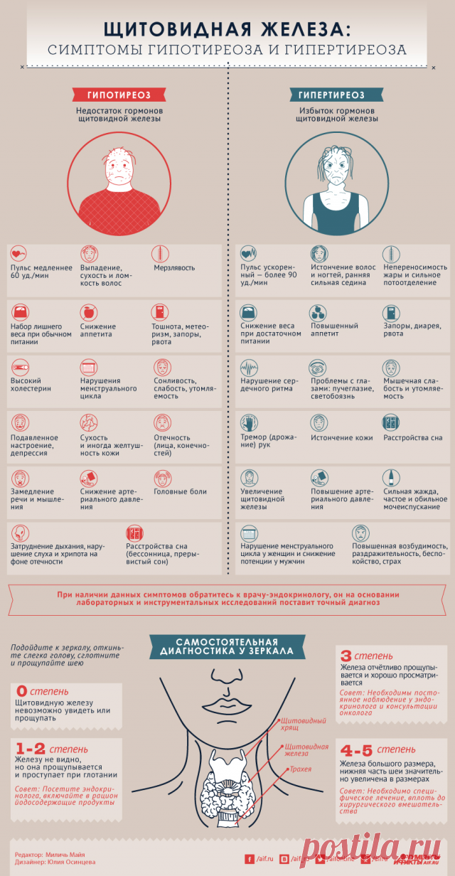 Щитовидная железа: признаки гипотиреоза и гипертиреоза