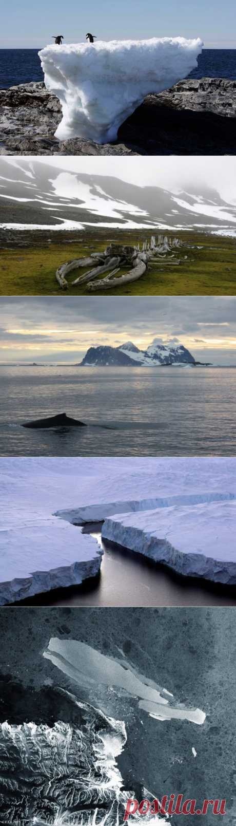 Исчезающие льды: пейзажи Антарктиды / Туристический спутник