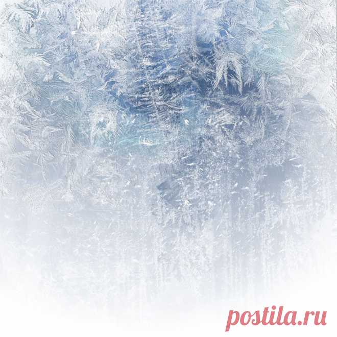 Зима на белом фоне (93 фото) » ФОНОВАЯ ГАЛЕРЕЯ КАТЕРИНЫ АСКВИТ