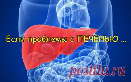 Есть проблемы с печенью? Отличный рецепт восстановления! » В сети – себя просвети! - Развлекательный портал!