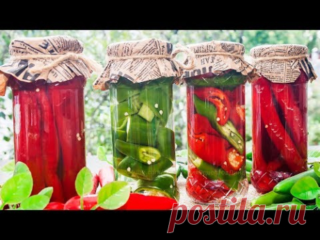 ОСТРЫЙ ПЕРЕЦ НА ЗИМУ - 3 простых рецепта заготовки горького перца!