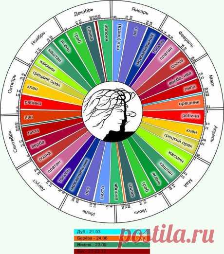 Садовый центр «Дворик» - Календарь друидов