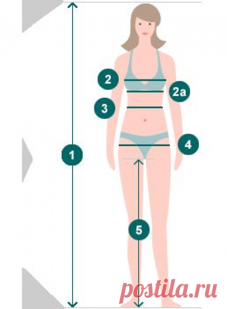 Таблицы размеров женской одежды - bonprix.kz