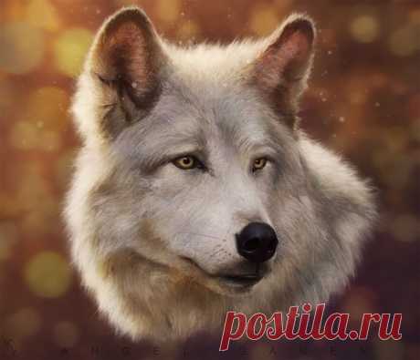 Картинки волка на аву - 82 фото - картинки и рисунки: скачать бесплатно