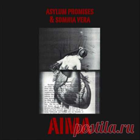 Asylum Promises &amp; Somnia Vera - AIMA (2024) 320kbps / FLAC