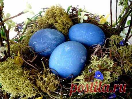 Используем природные натуральные красители для пасхальных яиц | Самоцветик