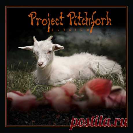 Project Pitchfork - Elysium (Deluxe Version) (2024) 320kbps / FLAC