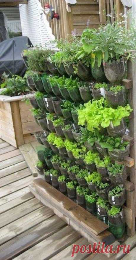 Vertical Garden Kit: Grow Veggies, Herbs, Flowers