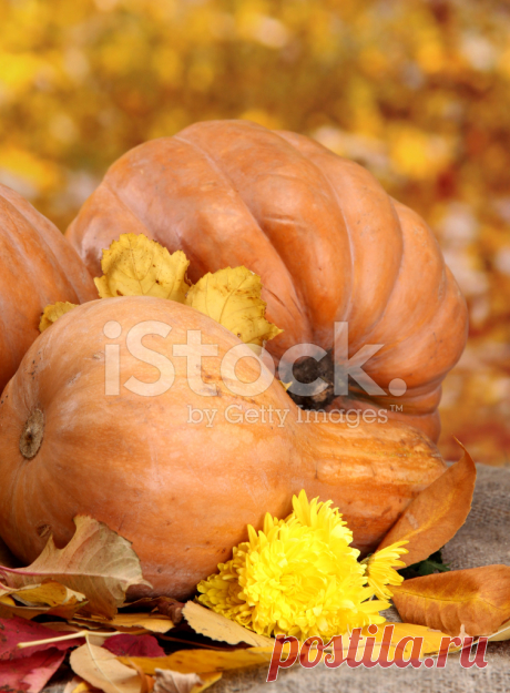 Pumpkins and Autumn Leaves, on Yellow Background Stock Photos - FreeImages.com