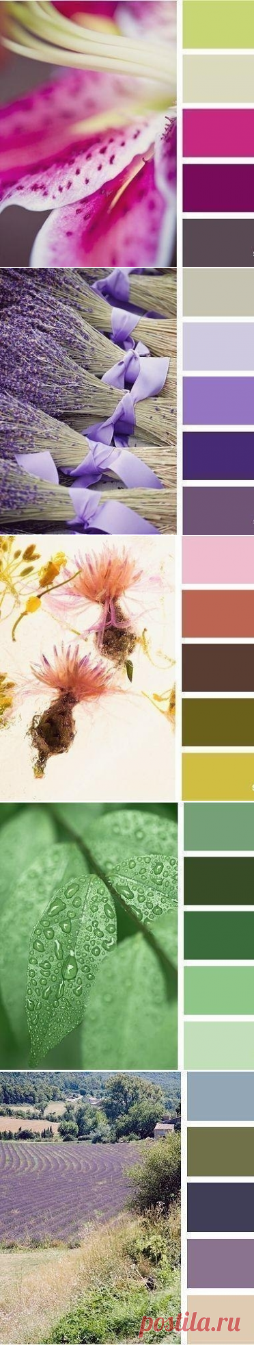 Природные сочетания цветов - Дизайн интерьеров | Идеи вашего дома | Lodgers