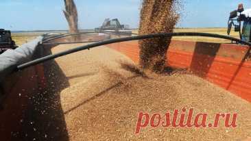 В Татарстане создадут сухопутный зерновой хаб