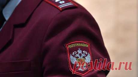 Роспотребнадзор опроверг данные о вшах из-за грязи в омской школе