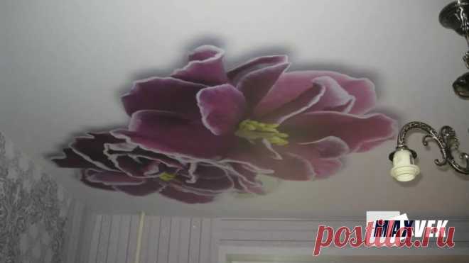 Фотопечать цветок, глянцевый натяжной потолок, белый цвет, гостиная в Яндекс.Коллекциях