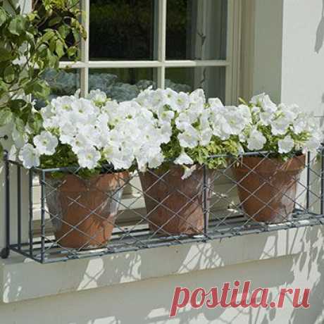 Buy iron window boxes direct from UK manufacturer. Bespoke window box designs available. High quality range in zinc galvanized steel.