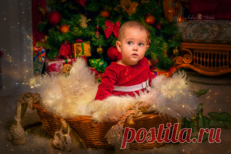 Фотография Новогодний подарок из раздела жанровый портрет №6163954 - фото.сайт - Photosight.ru