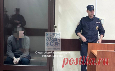 Суд в Москве арестовал подростка, обвиняемого в убийстве домработницы. Троицкий районный суд Москвы арестовал подростка, обвиняемого в убийстве домработницы.