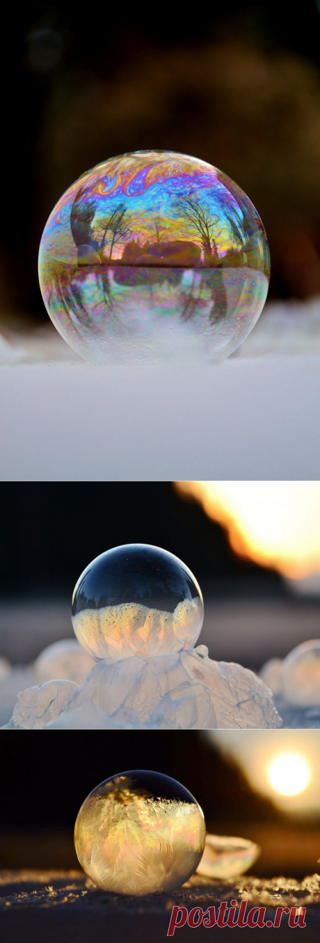 Лучшие фотографии со всего света - Мыльные пузыри в момент замерзания