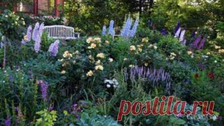 Design Your Own Garden | Gardening Design Ideas | Tips from Garden Gate Magazine