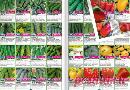 Семена огурцов фирмы партнер. Семена почтой наложенным платежом. Семена в озерах. Сидпост семена интернет. Семена ру интернет магазин.