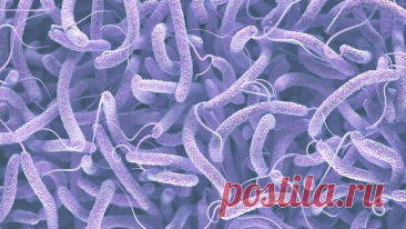 ВОЗ заявила об усилении устойчивости бактерий к антибиотикам