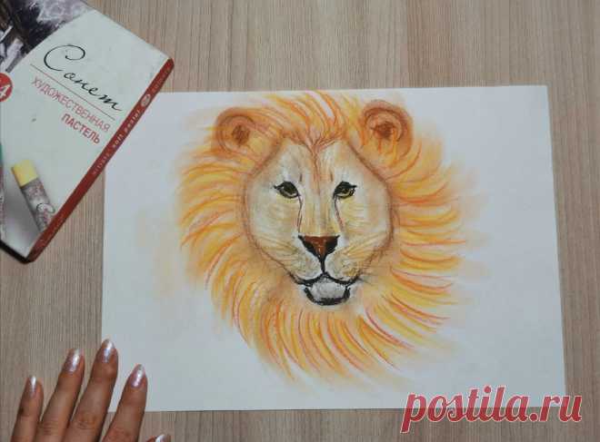 Как нарисовать льва. Поэтапный рисунок + видеоурок | Педагог онлайн. Видеоуроки | Яндекс Дзен
