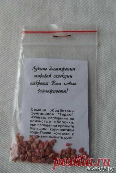 Как подготовить семена помидоров (томатов для посева. / Асиенда.ру