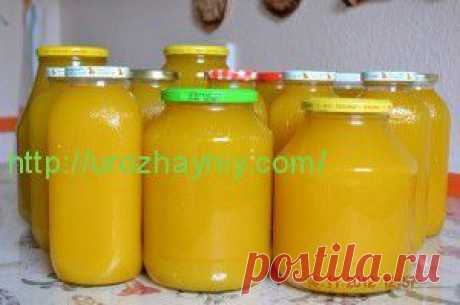 Тыквенный сок с апельсином от Алены Дреер. | Урожайная дача
