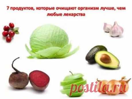 7 ПРОДУКТОВ КОТОРЫЕ ОЧИЩАЮТ ОРГАНИЗМ ЛУЧШЕ, ЧЕМ ЛЮБЫЕ ЛЕКАРСТВА. 


 
 




№1 КРАСНАЯ СВЕКЛАЭто «чистильщик» организма №1. Во-первых, она содержит клетчатку , фосфор, медь, витамин С и ряд органических кислот, которые улучшают «движение» еды и уничтожает «плохие» …