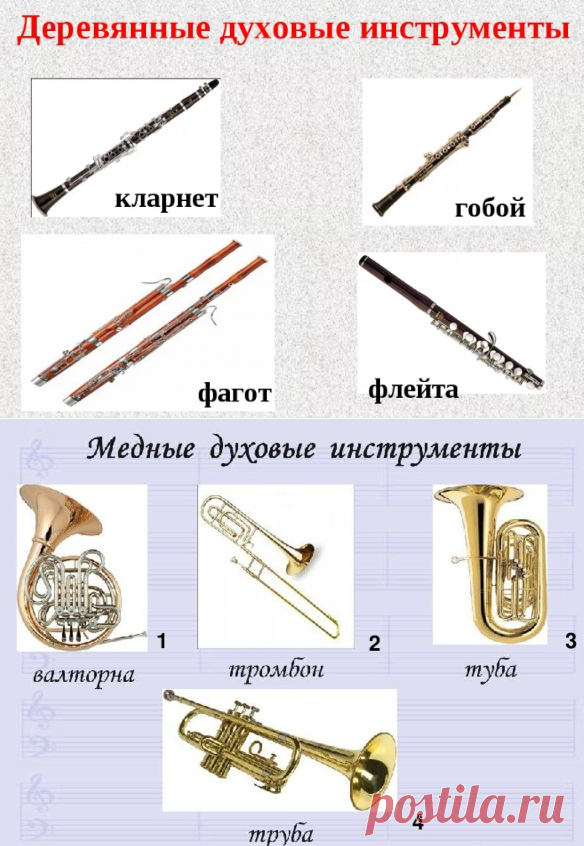 Духовые инструменты музыкальные с названиями и картинками