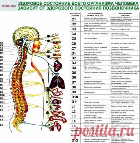 Рецепты с куркумой, которые помогут при артрите, подагре, артрозе и радикулите
Это одна из самых востребованных специй в кулинарии. Восточные целители относятся к ней серьезно, называя «природным аспирином». Куркуме приписывают целый набор целебных качеств. Это и обеззараживающее, и противовоспалительное, и кровоостанавливающее, и успокаивающее действие. Народная медицина — рецепты, советы, способы, cекреты и народные средства.