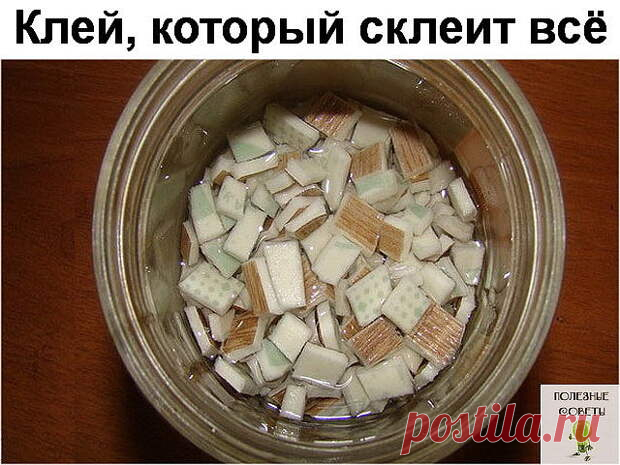 Клей, который склеит всё  

Вы слышали о таком клее, который можно сделать из линолиума? Я слышу об этом в первый раз и решила с Вами поделиться своей находкой. А что, попробуем. В хозяйстве всё пригодится. Итак, знакомьтесь:…
