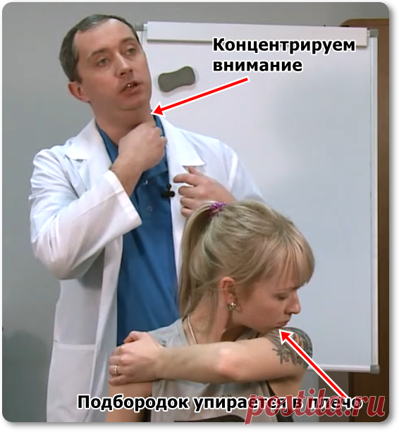 Урок + 5 упражнений | doctorshishonin.ru