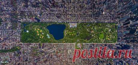 Центральный Парк Нью-Йорка с высоты птичьего полёта / Социальная погода